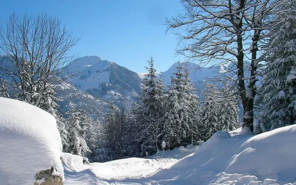 Rodeln